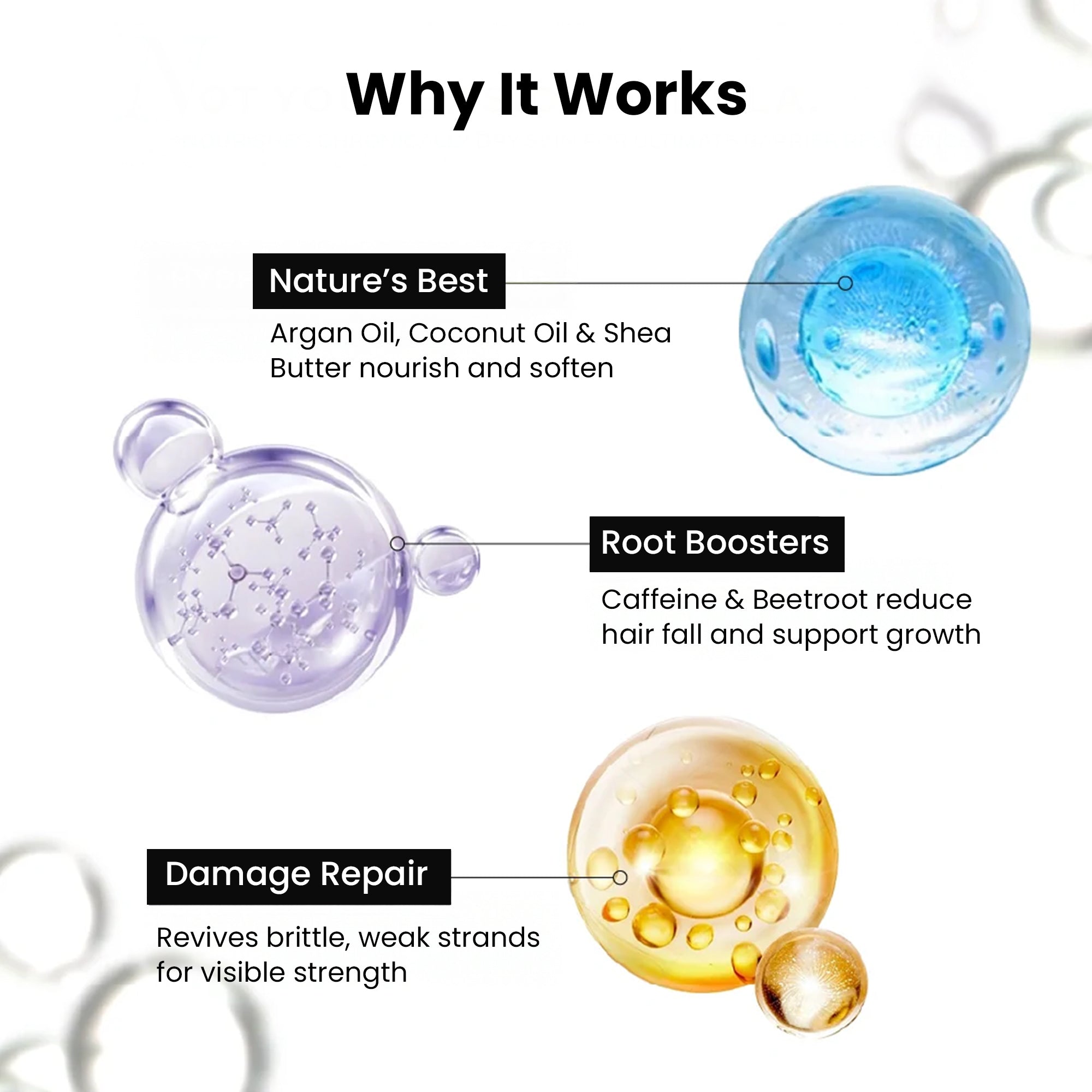 Skinovate Hair Shampoo